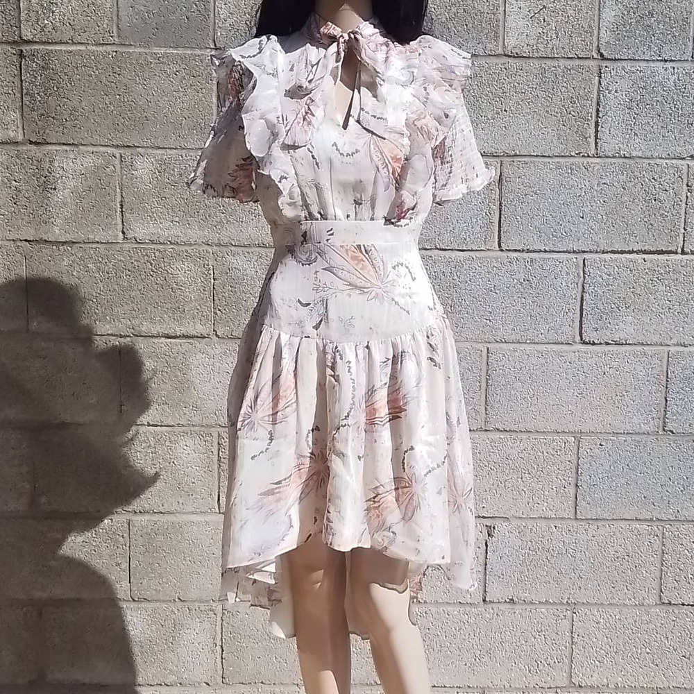 Walter Baker Emma Dress Size 0‎ in Romantic Vine w/ High Low Hem